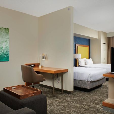 Springhill Suites By Marriott Baton Rouge North / Airport Dış mekan fotoğraf