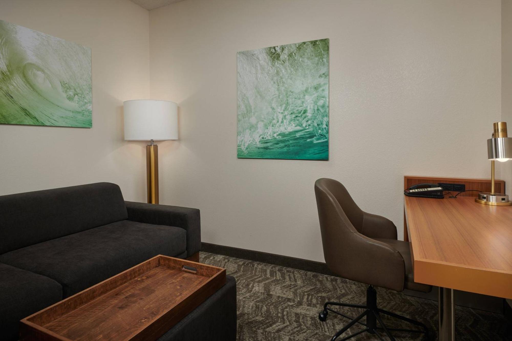 Springhill Suites By Marriott Baton Rouge North / Airport Dış mekan fotoğraf